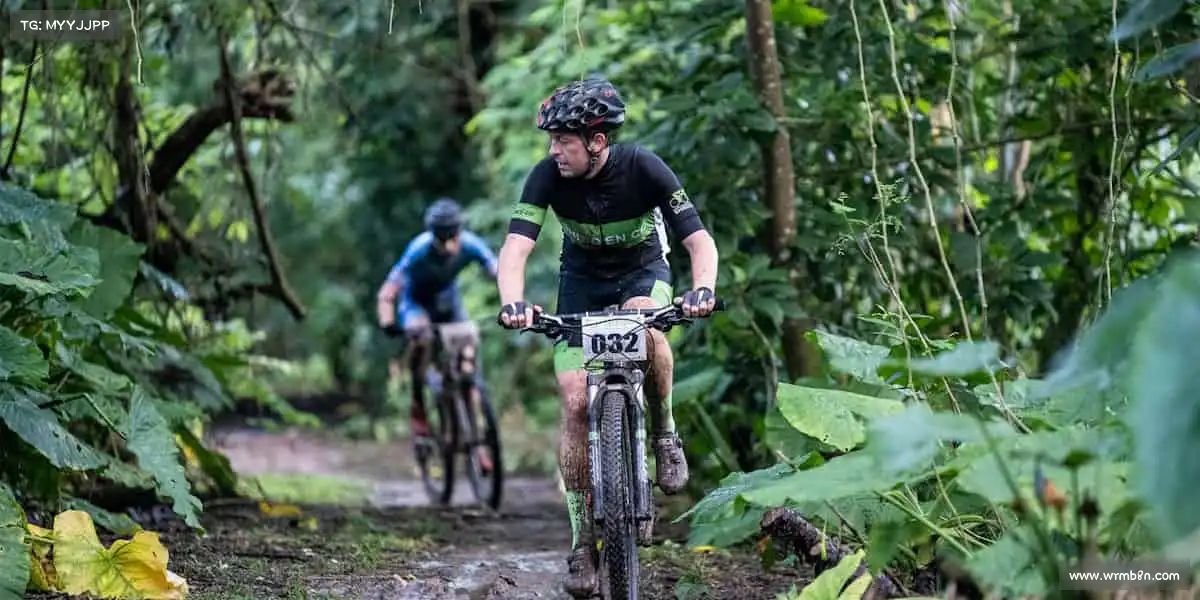 我们的品牌价值